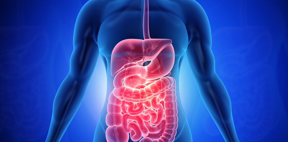 8 enfermedades del sistema digestivo - Rebagliati Salud